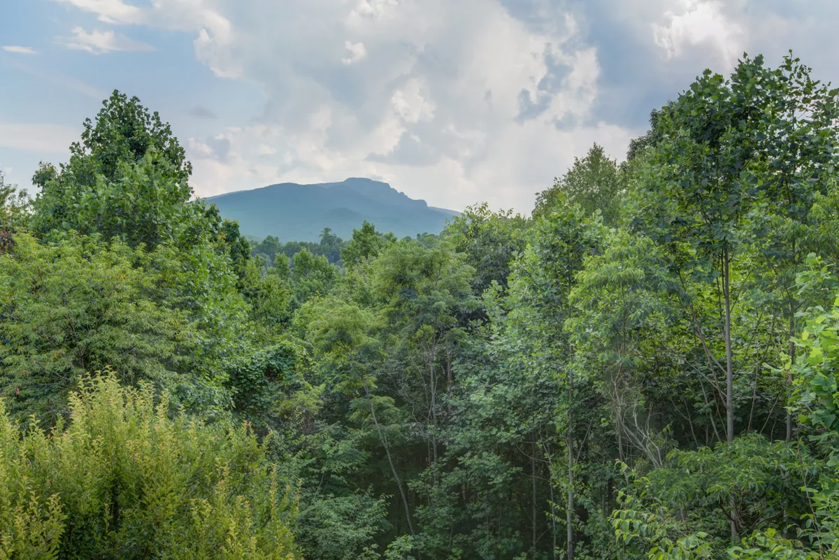 A sweeping view of a dramatic mountain peak surrounded by lush greenery beneath a cloudy sky. The landscape is open and wild, evoking a sense of adventure and tranquility—perfect for outdoor activities such as hiking, nature walks, and birdwatching.