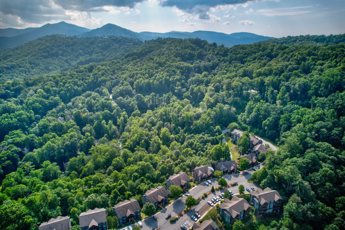 A sweeping view of Echota's lush green trees, majestic mountain range, and residential buildings nestled among nature. The scene exudes tranquility and a connection to the outdoors, inviting exploration and adventure in the surrounding landscape.